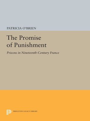 cover image of The Promise of Punishment